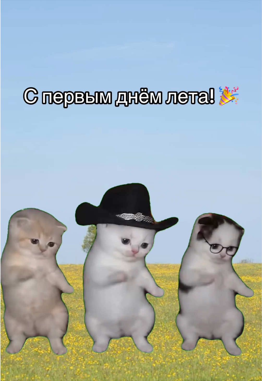 @Aviasales Беларусь