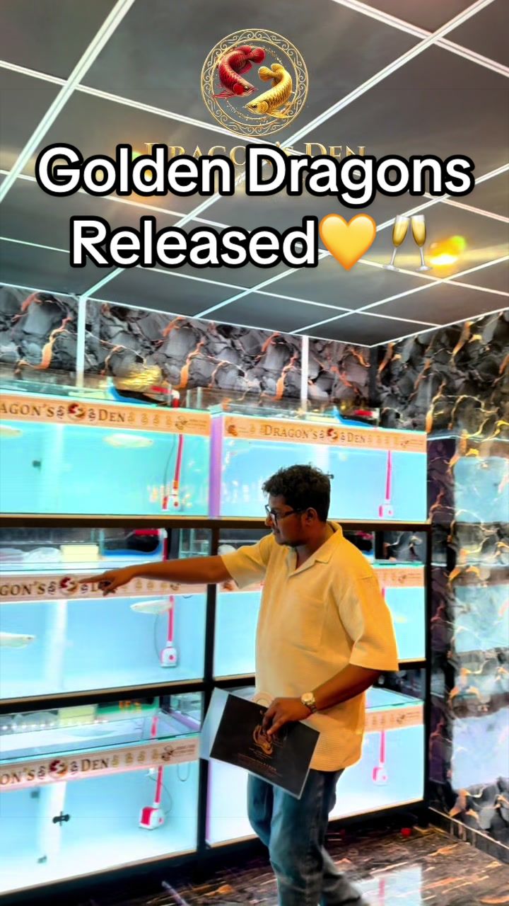 @Aquaman_lk