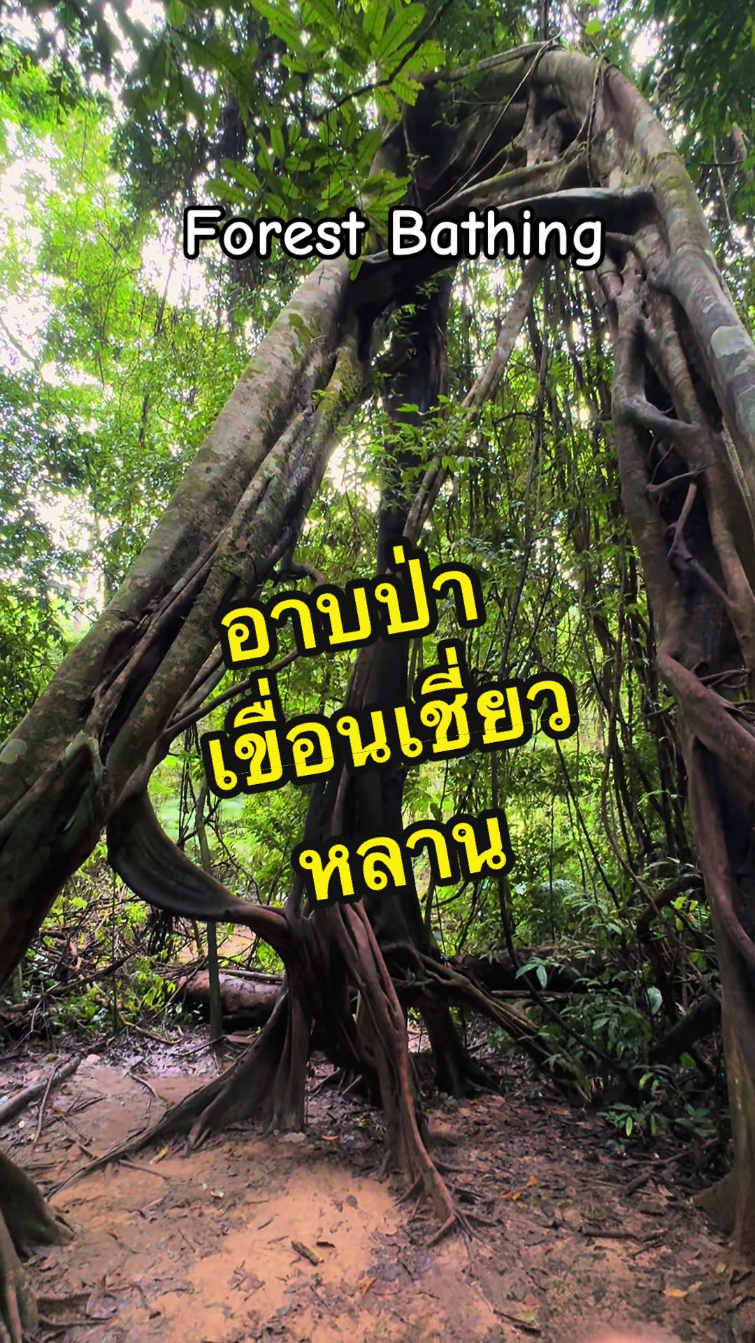 @DanaiChanchaochai
