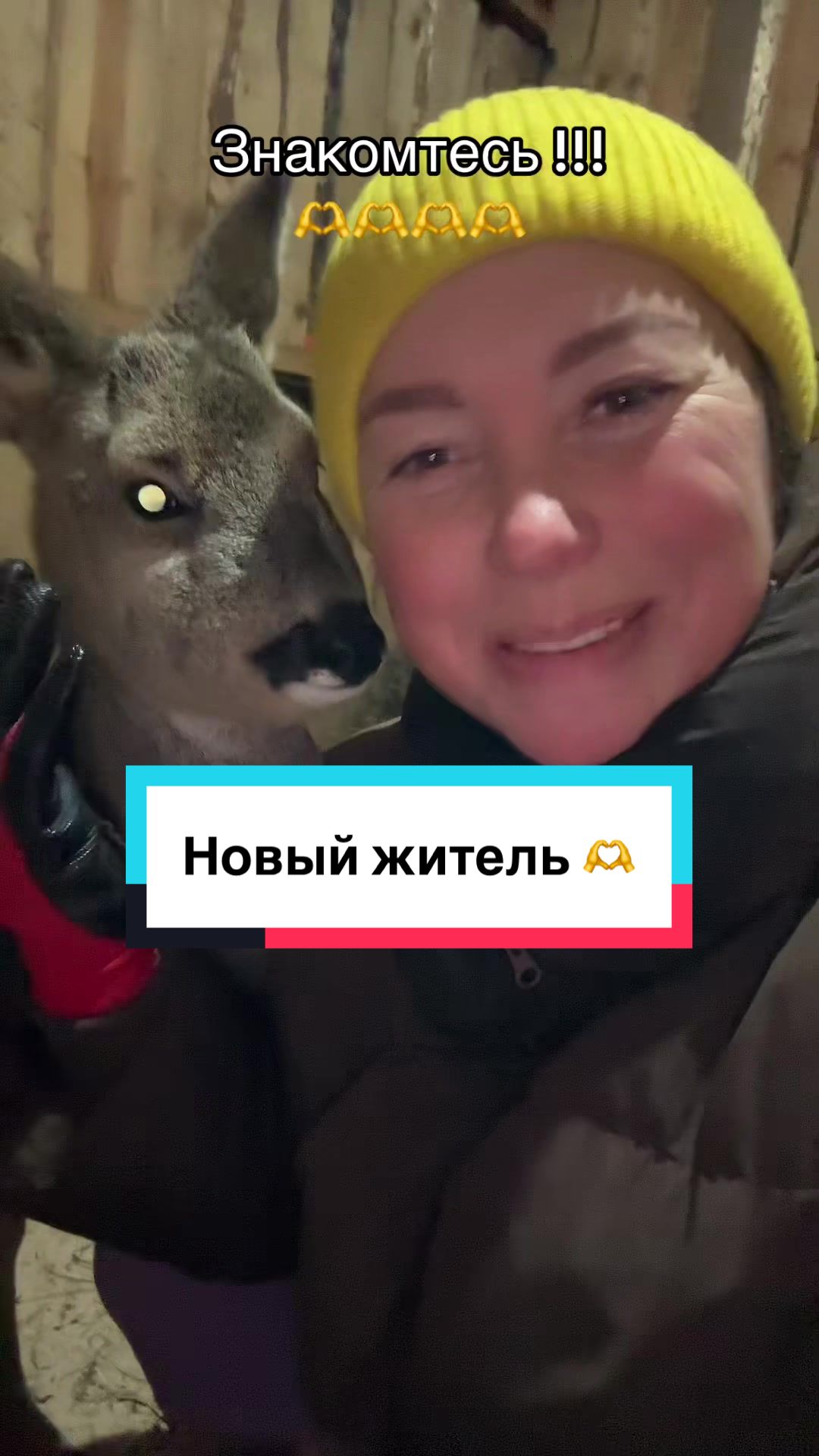 @Анастасия Чернявская.