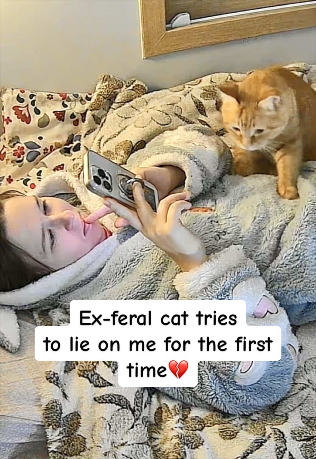 @MyStrayCheese