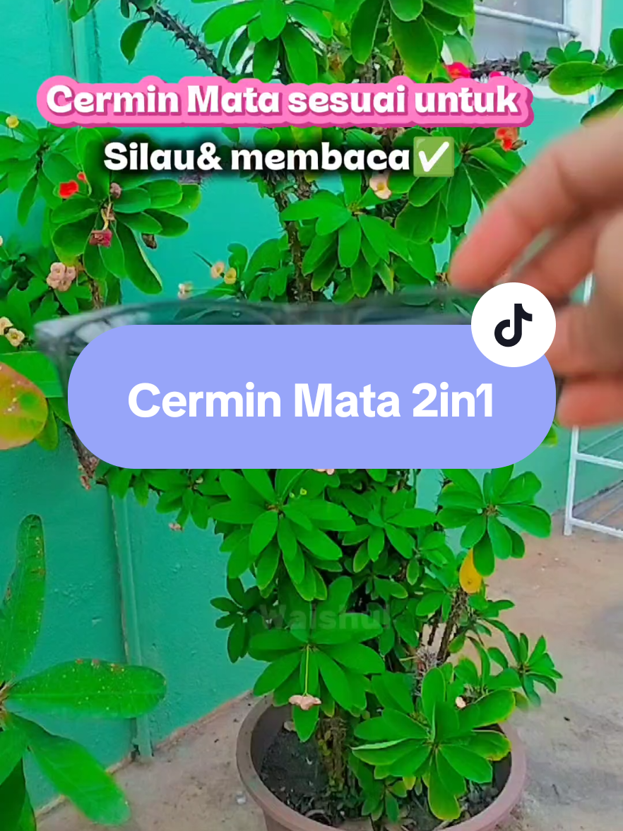 @Waishul Qistini