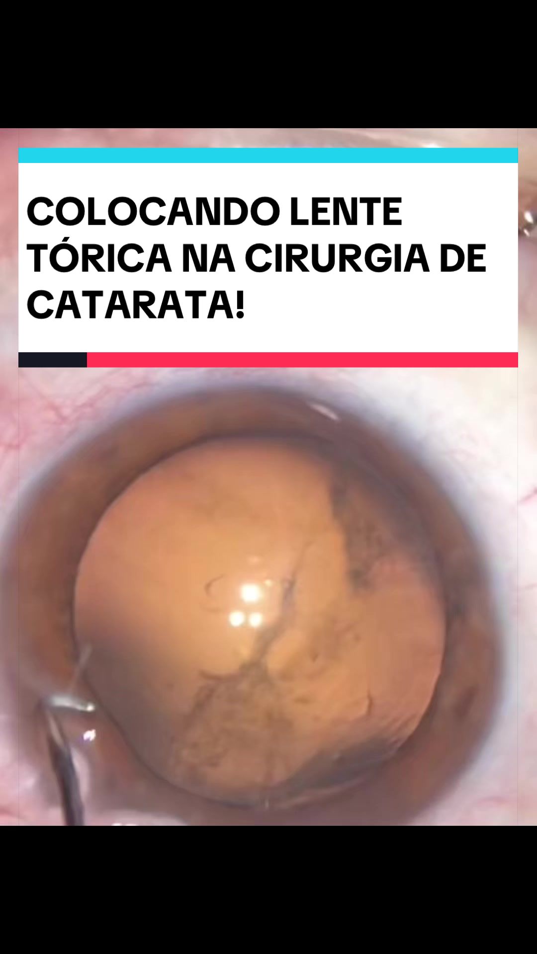 @Dr.André.Sigueta