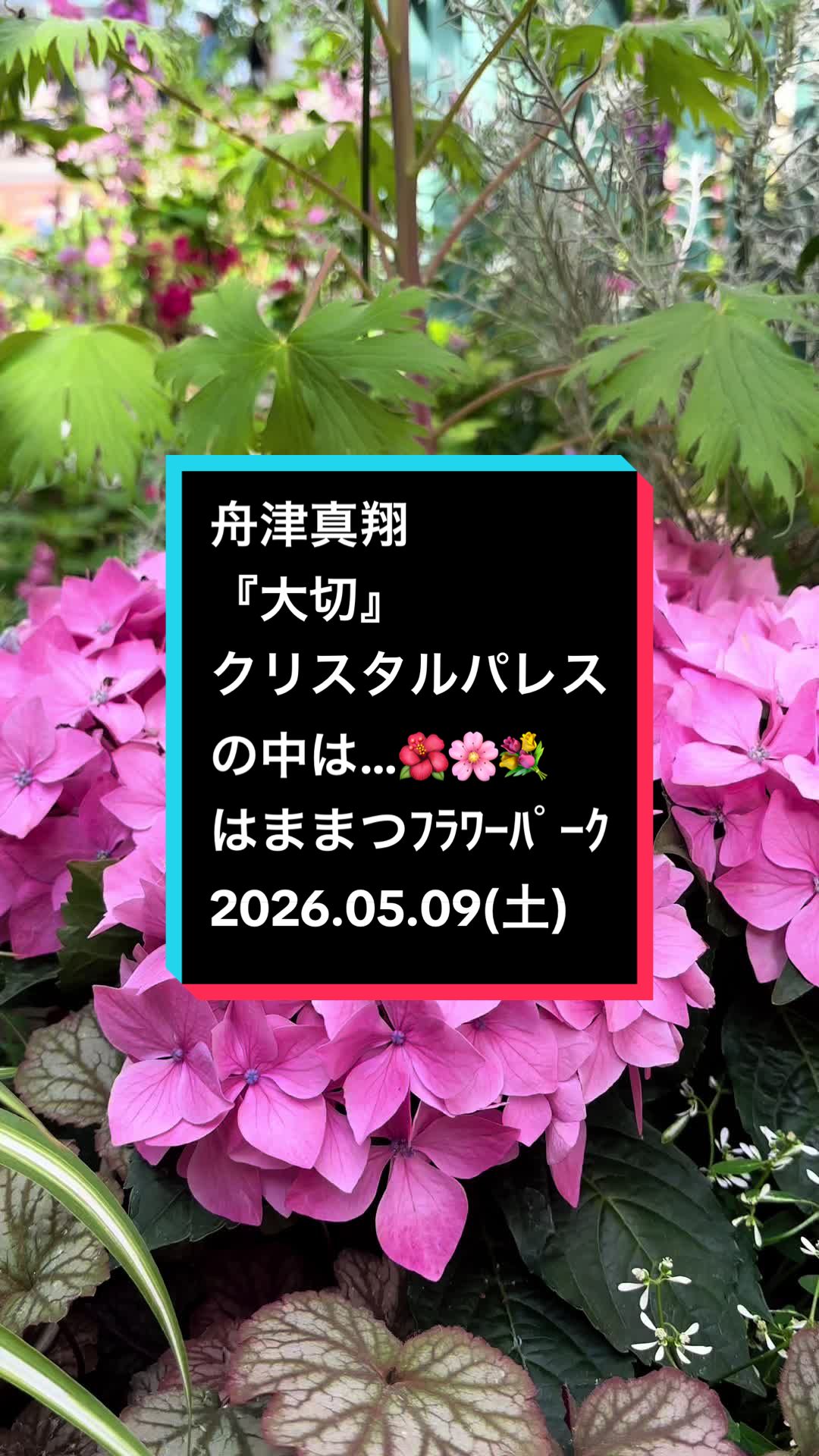@ゆる