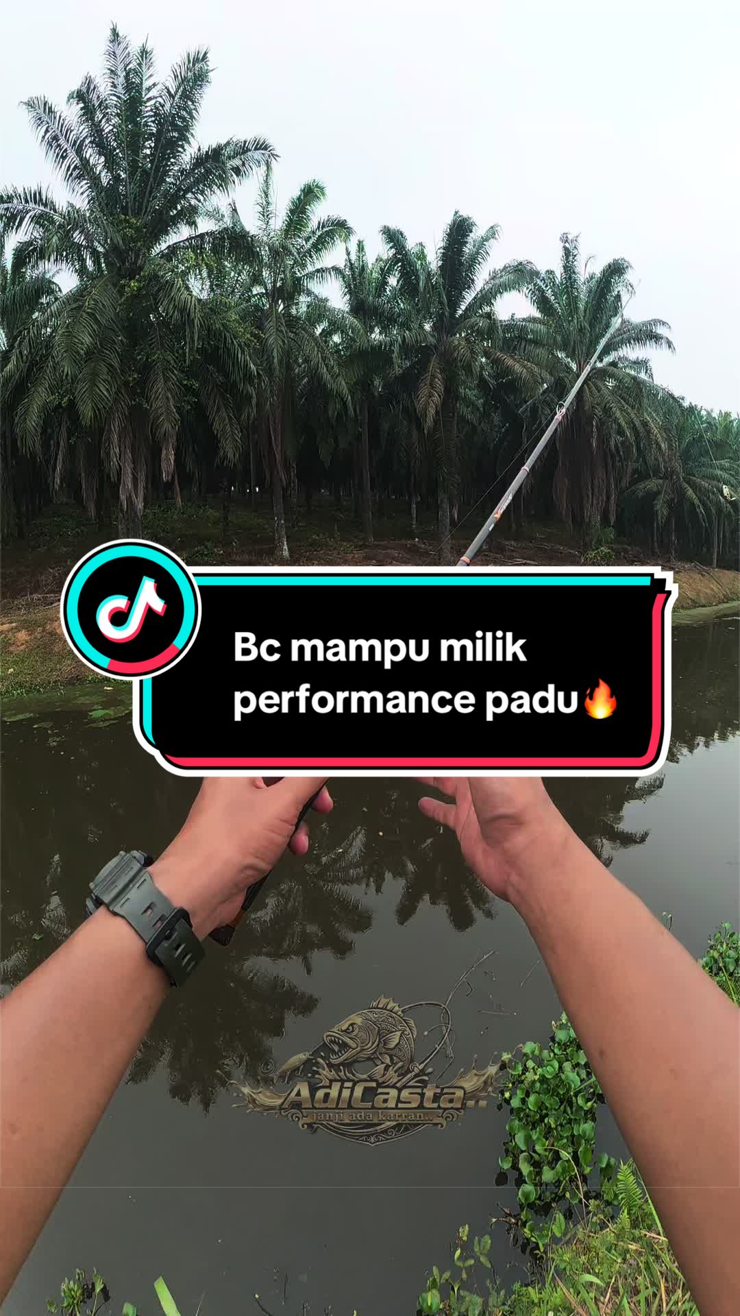 @AdiCasta..