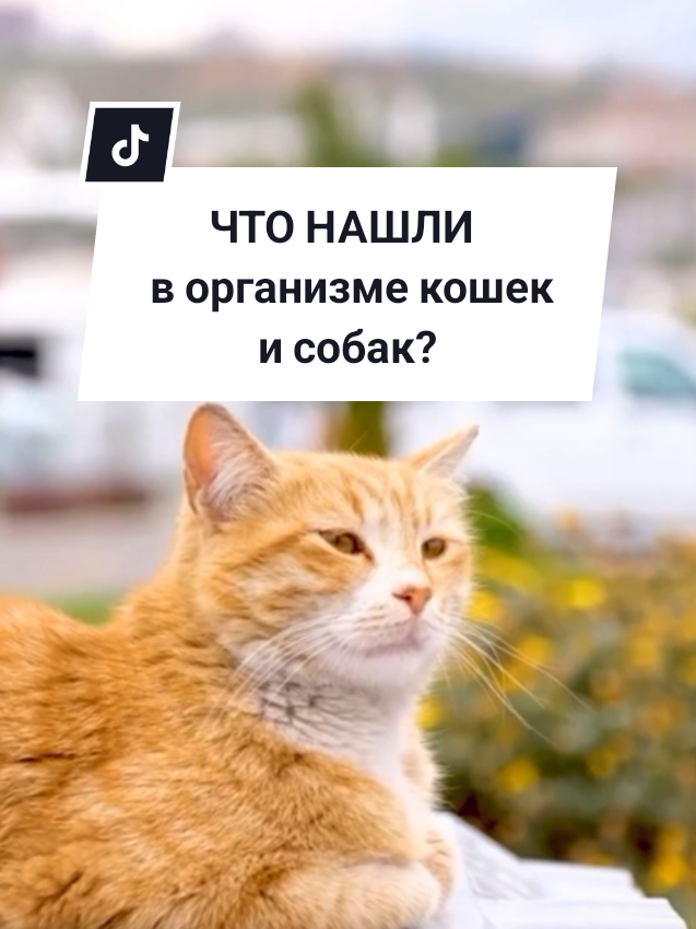 @Калейдоскоп фактов