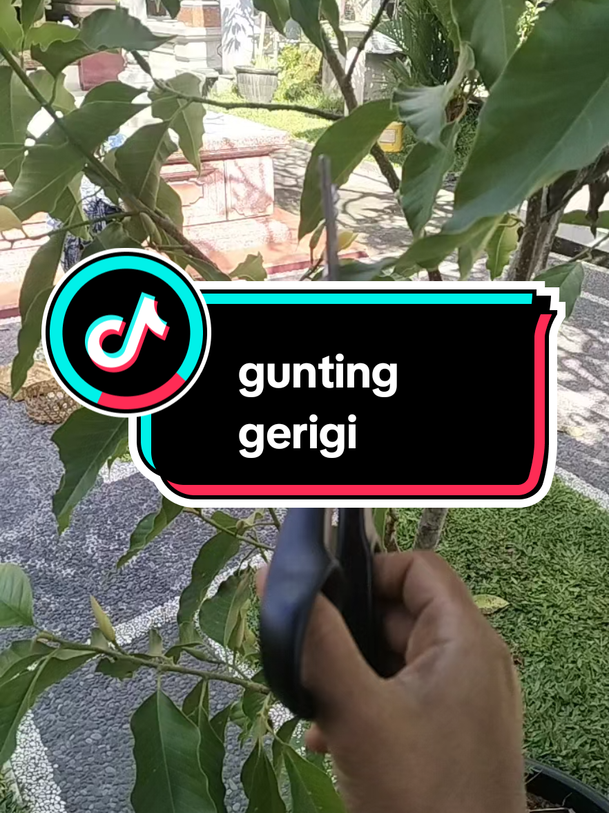 @Wayan ad