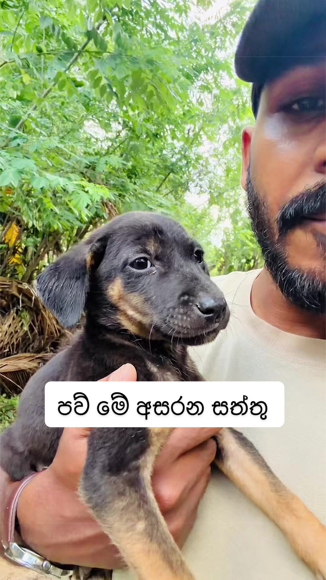 @DOG LOVERS
