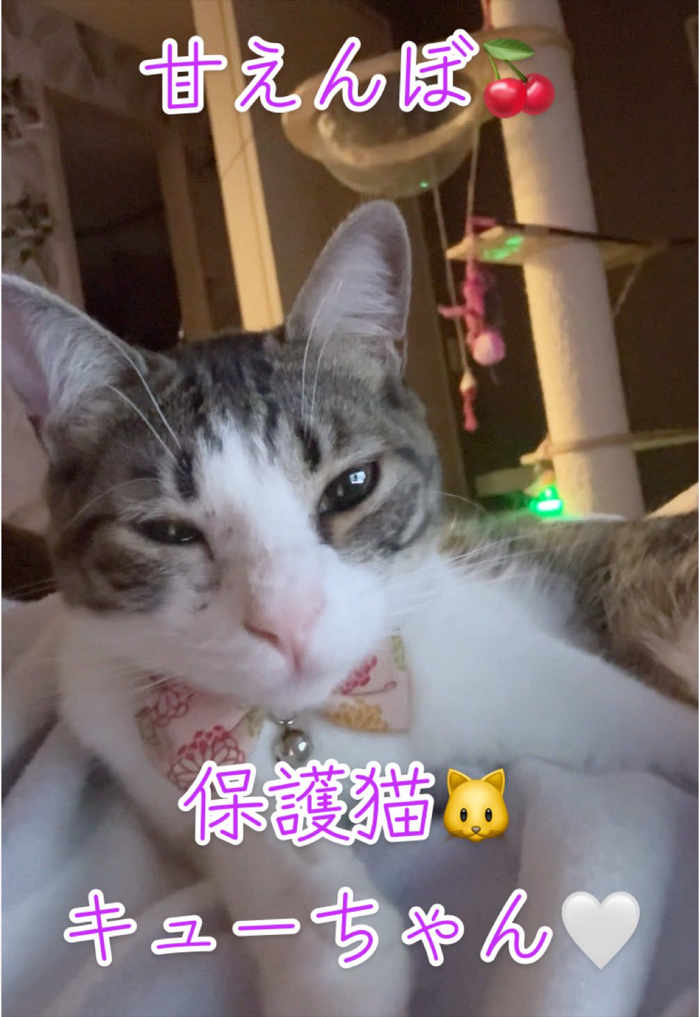 @はっぴー野郎☺︎