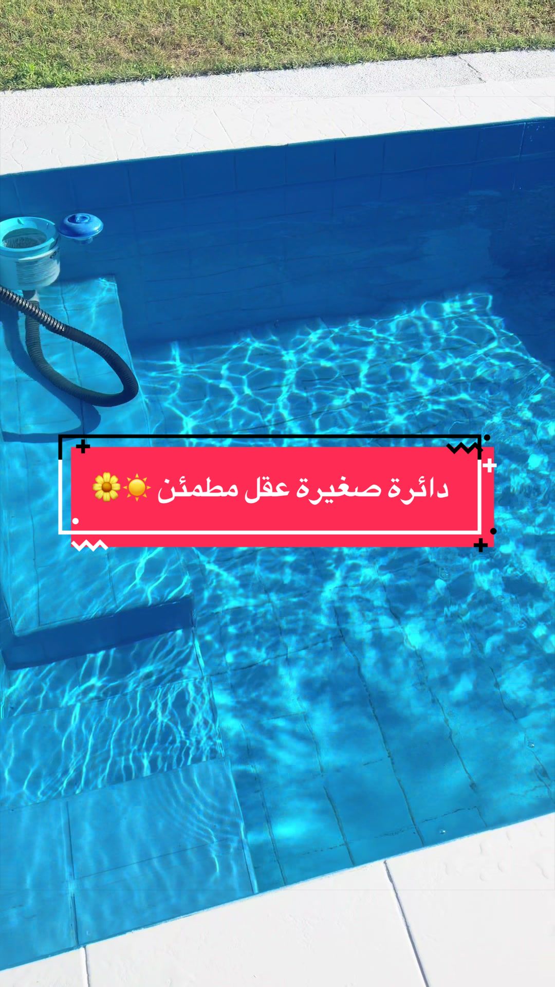 @ورد 🌹الجوري