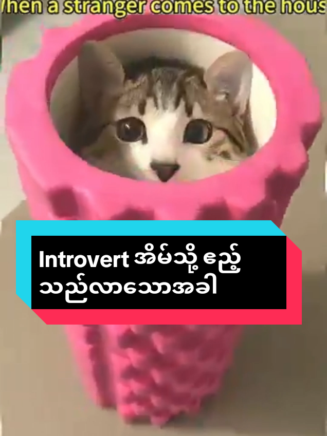 @MeowMagic