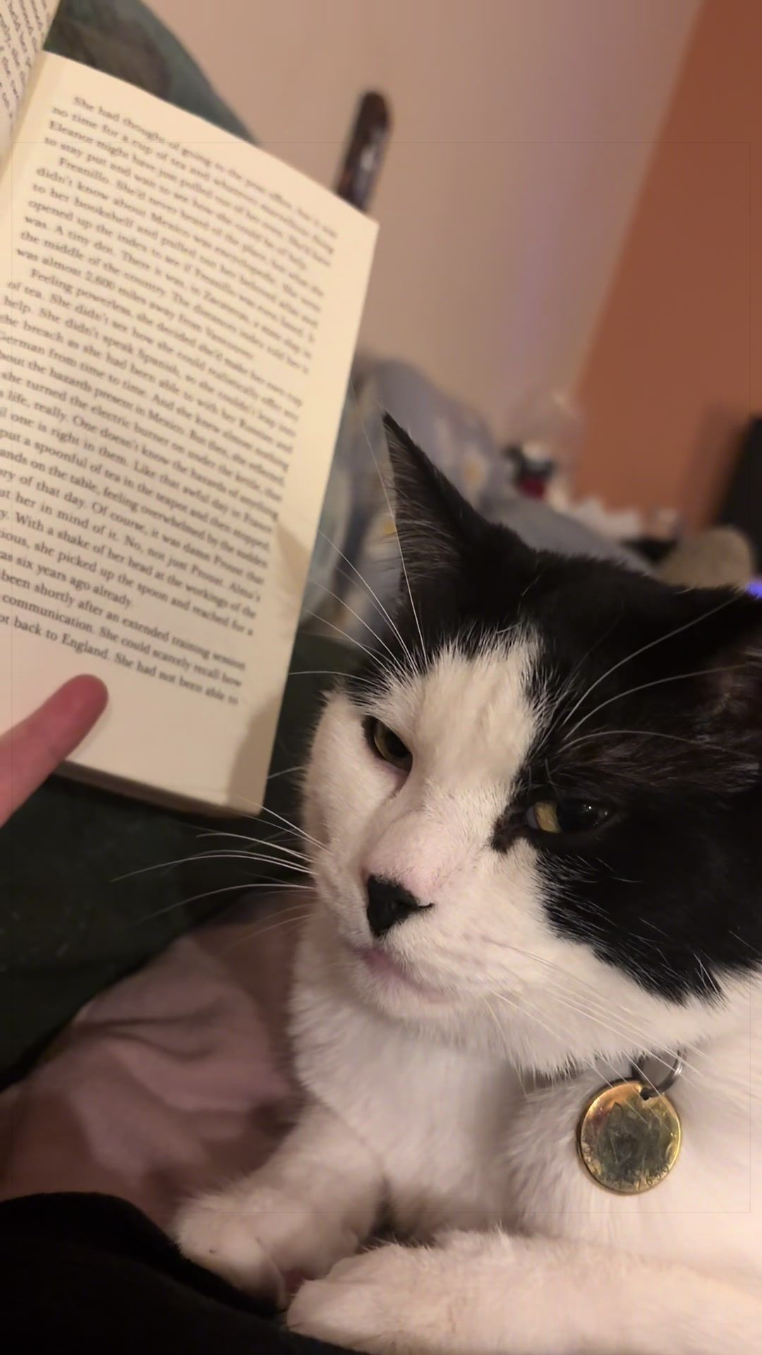 @Cozywithteaandbooks🇨🇦