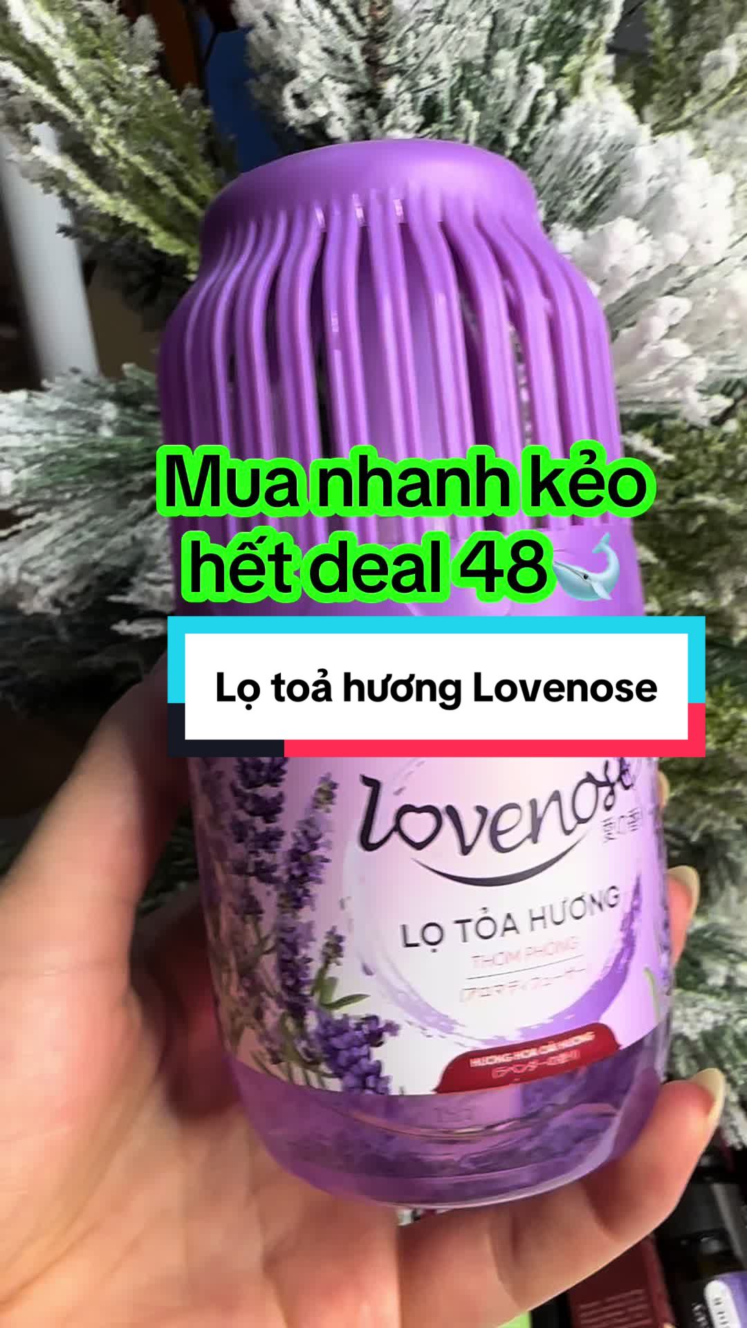 @C&ocirc; g&aacute;i họ Đinh