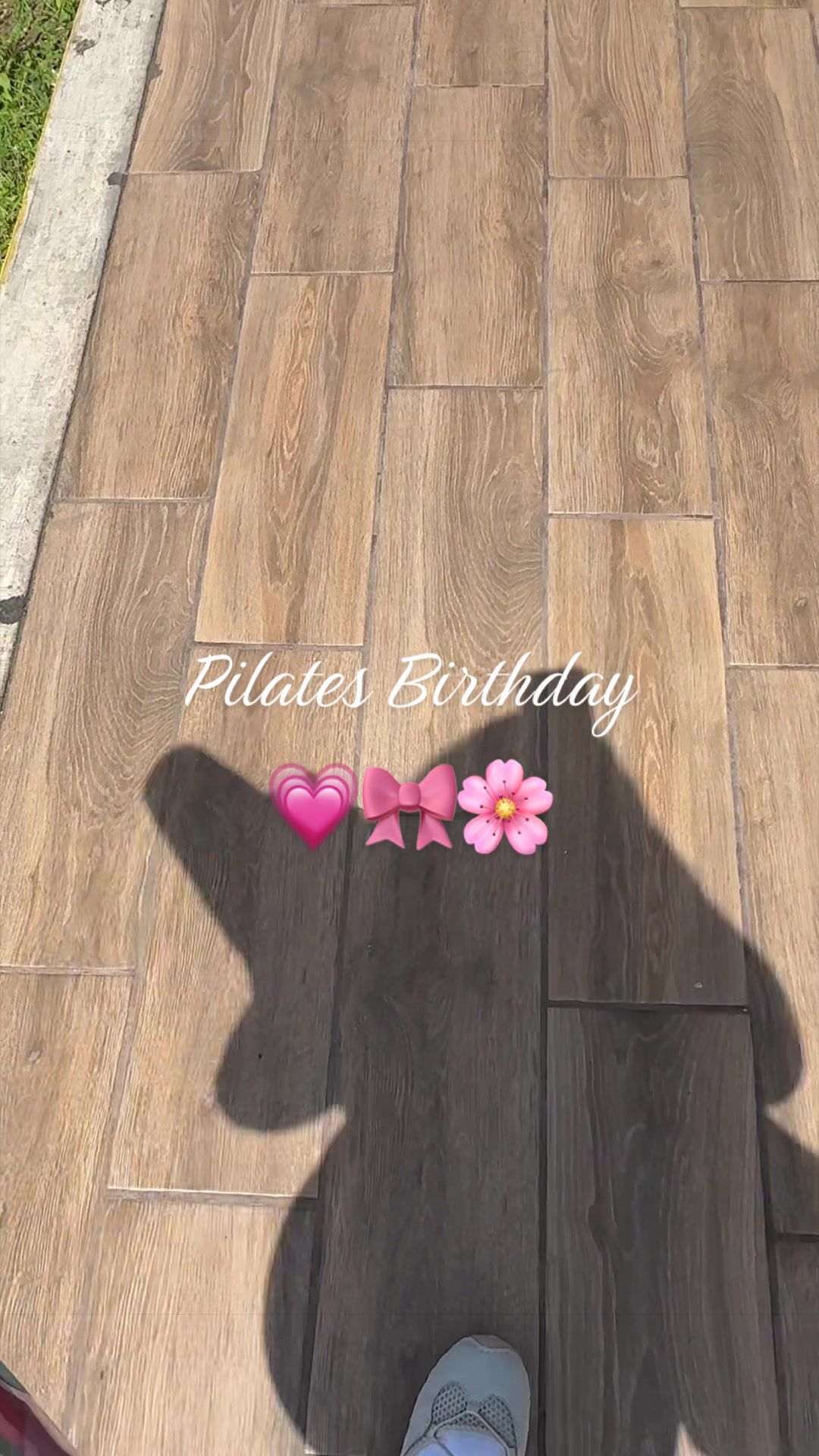 @mirandagonchi