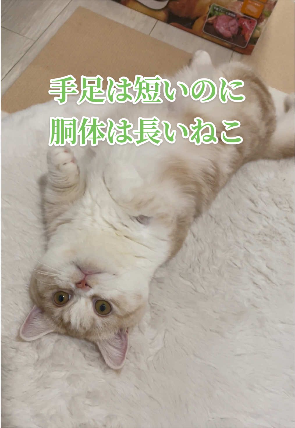 @ใปใฃใ๐๐