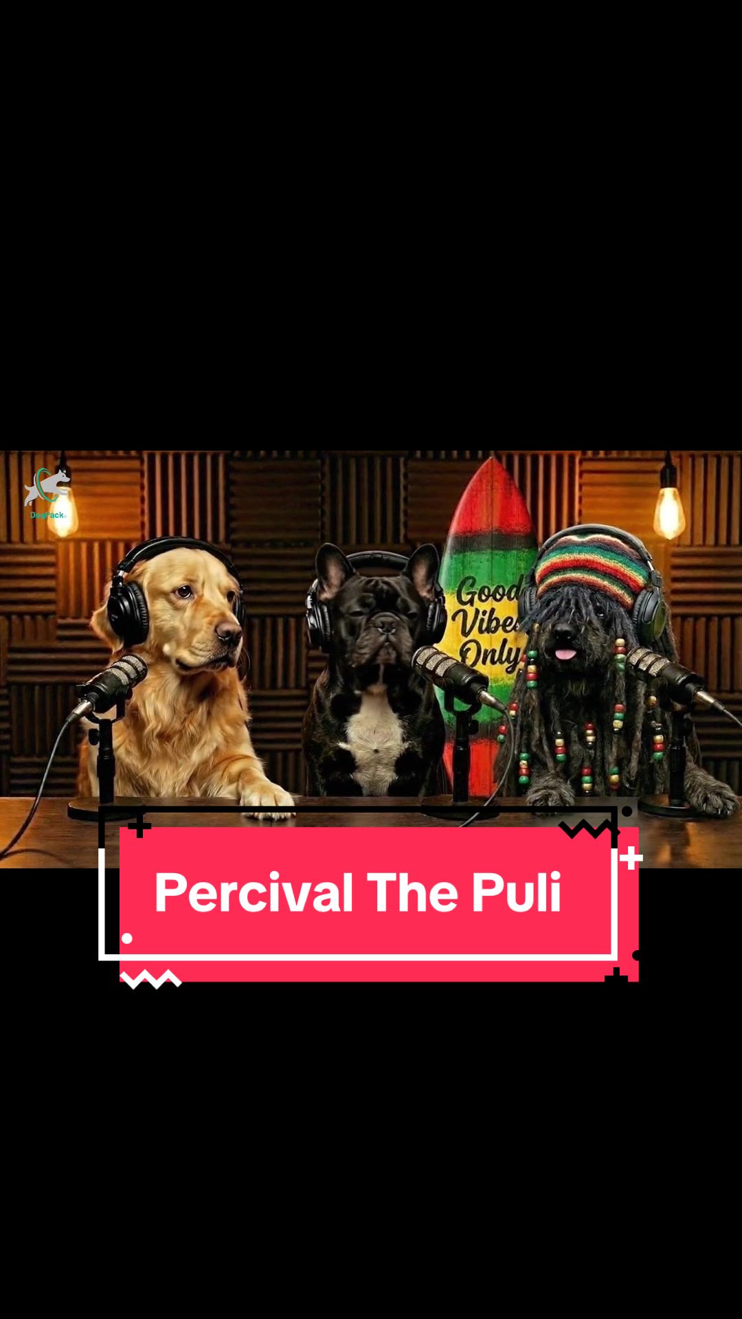 @DogPack