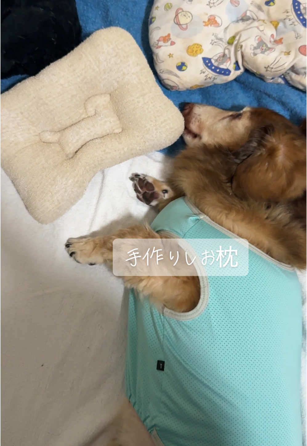 @しもひ