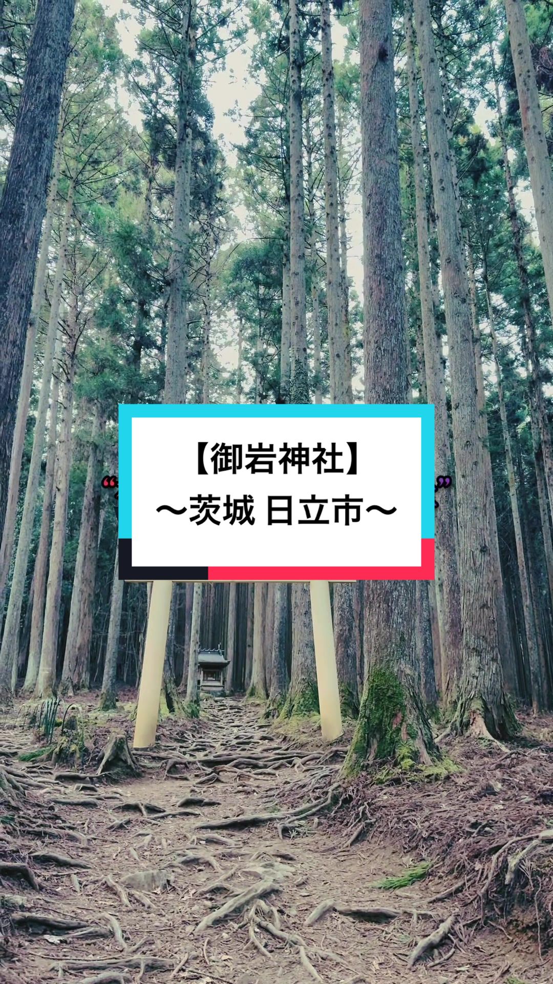 @開運きむにぃ