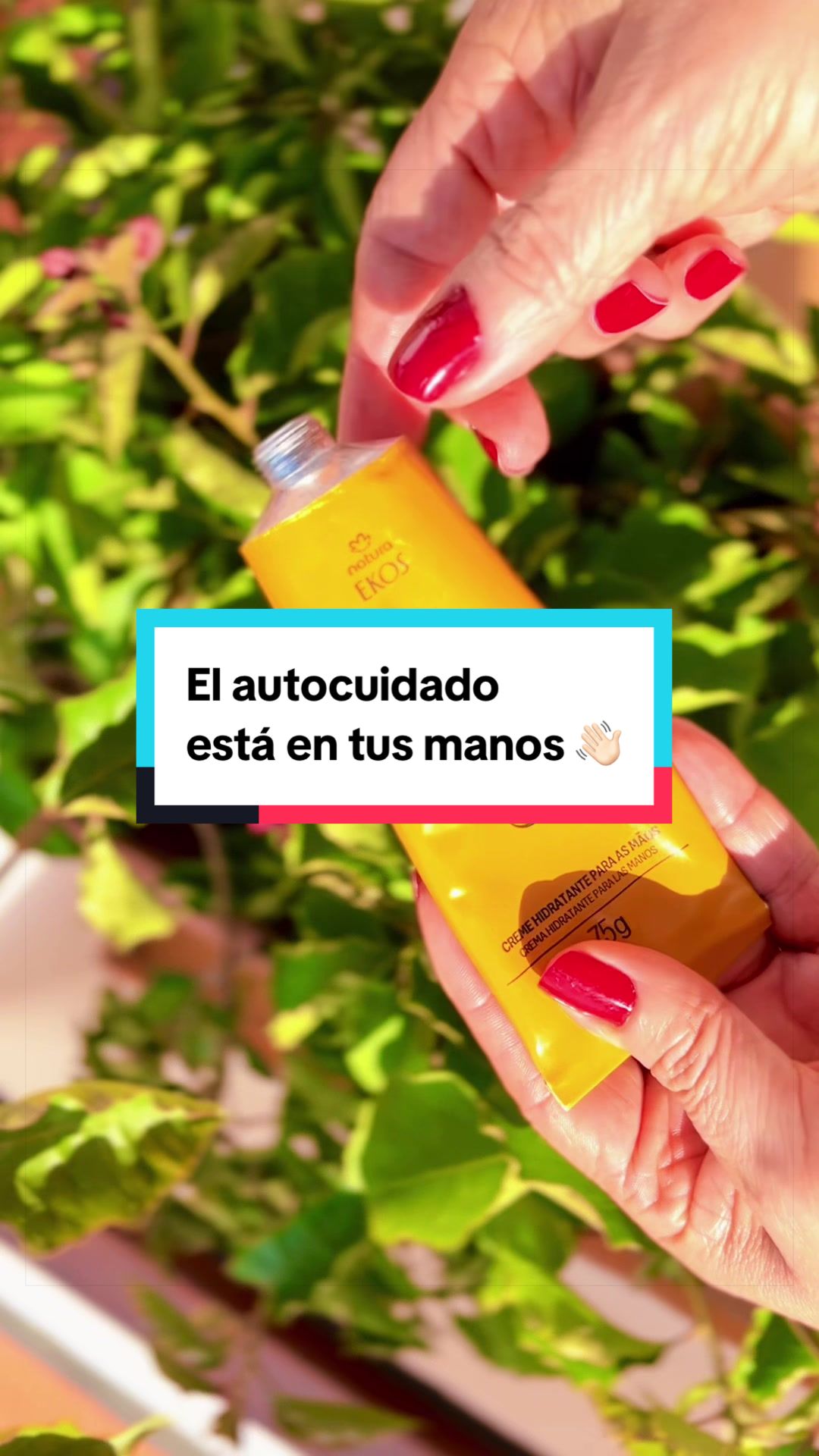 @Bibiicare