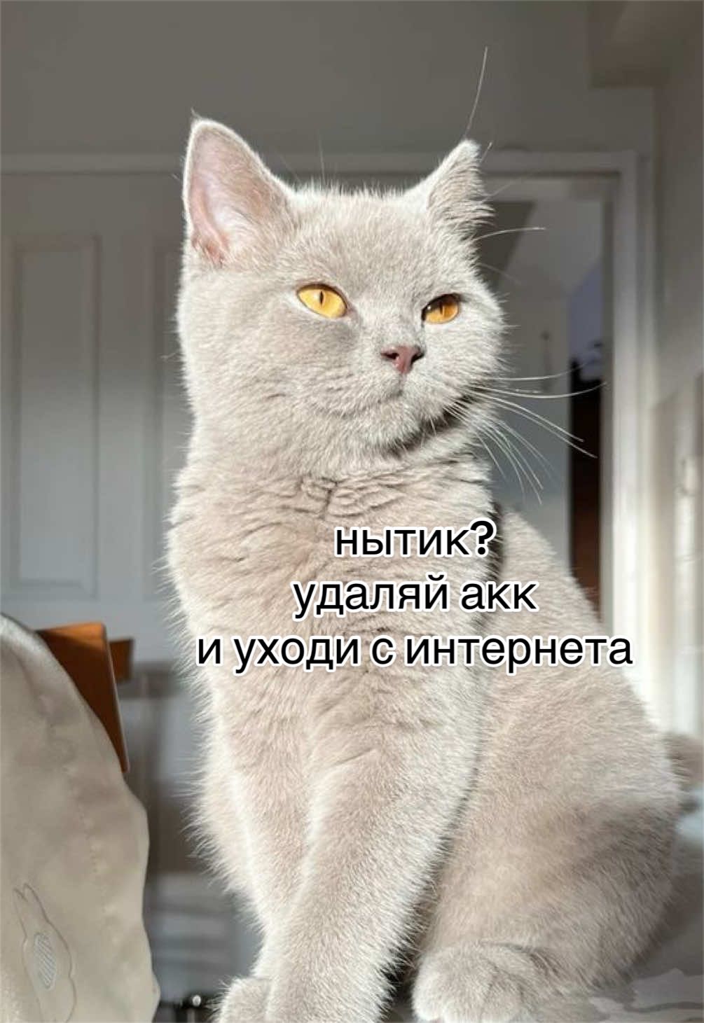 @мамин хep