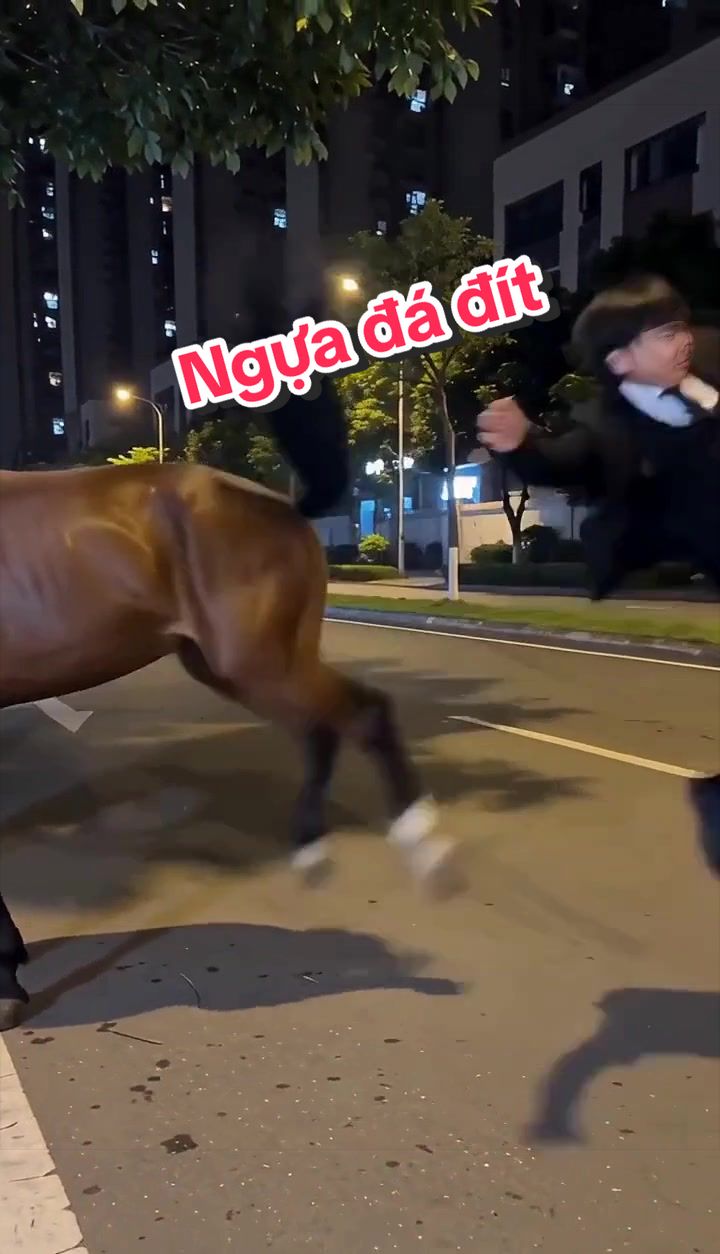 @MrTNT - Meme