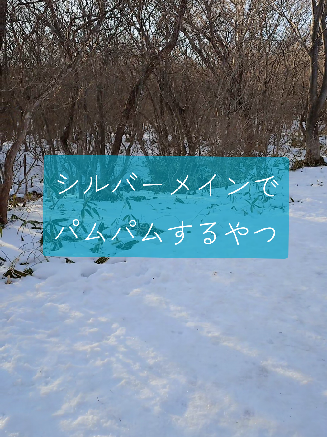 @柊零