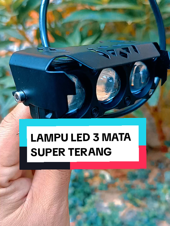 @yunfa lovers