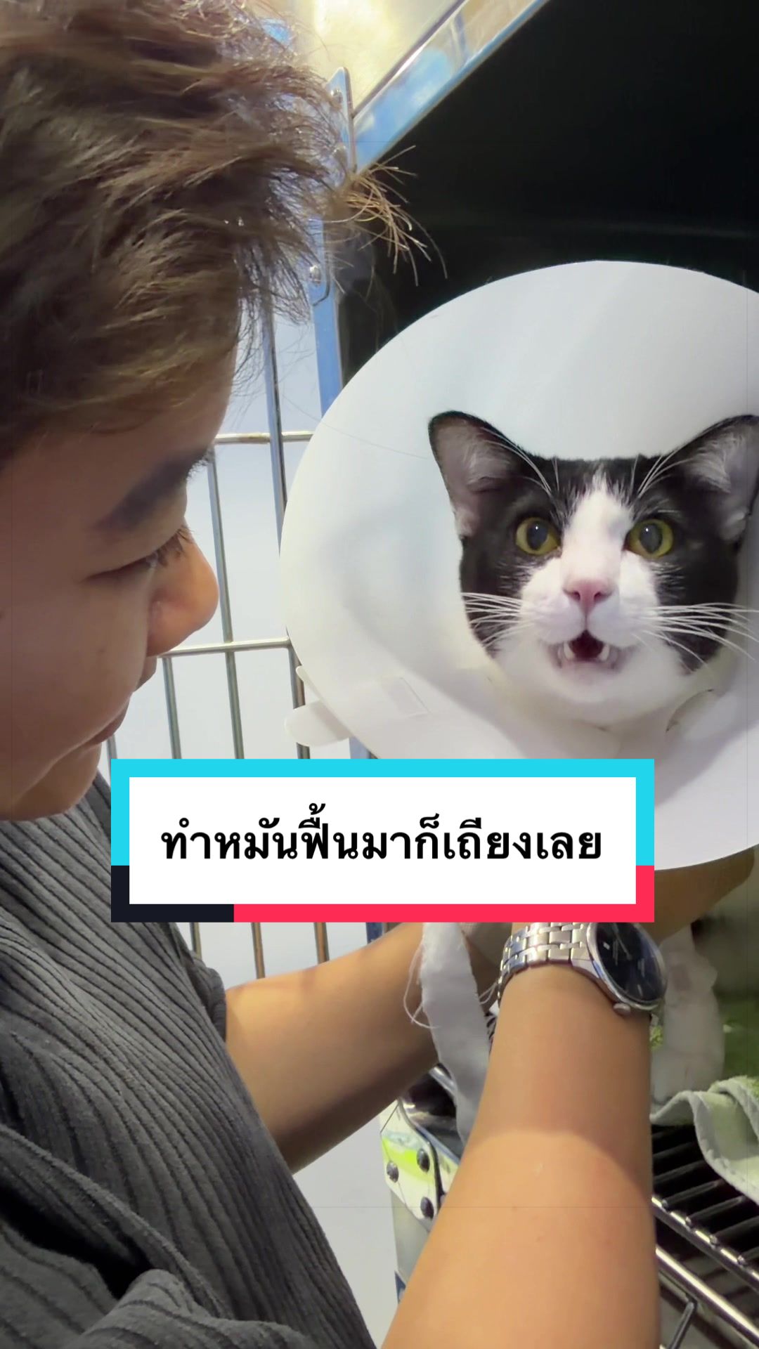 @คิมบับครับผม