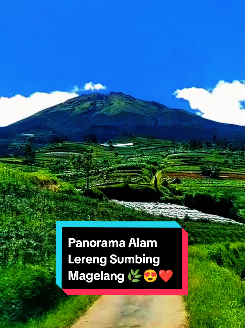 @mlampah2_57