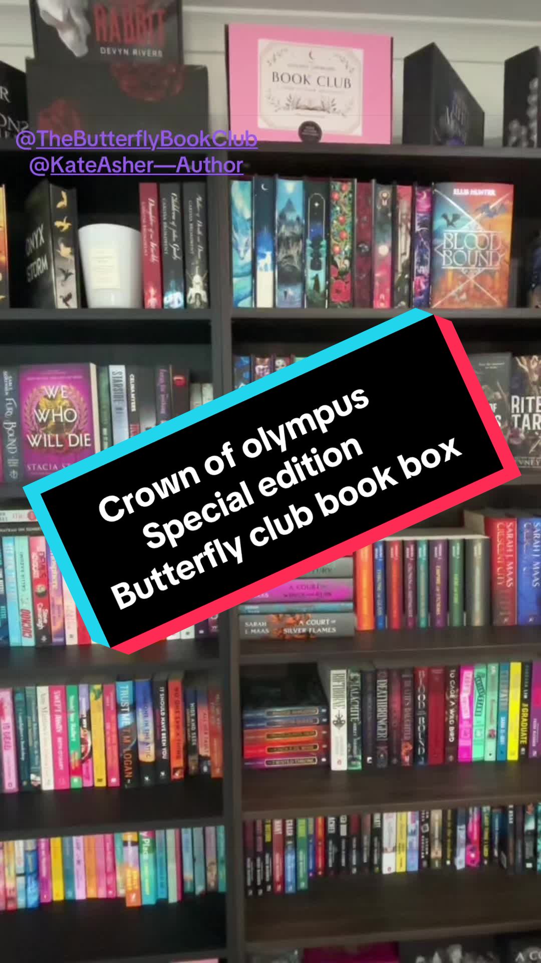 @💐 shay's book corner 💐