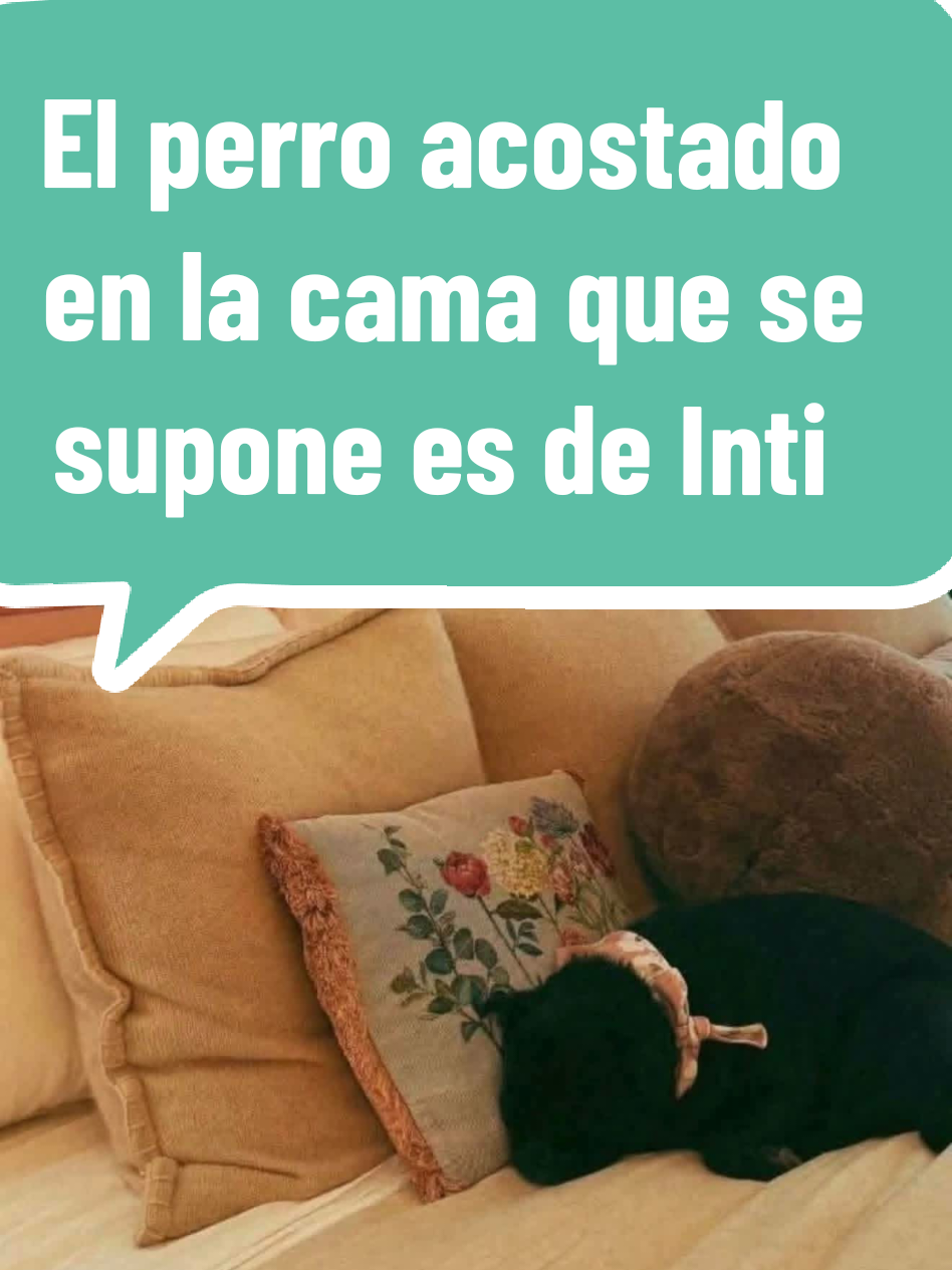 @variedades 22A