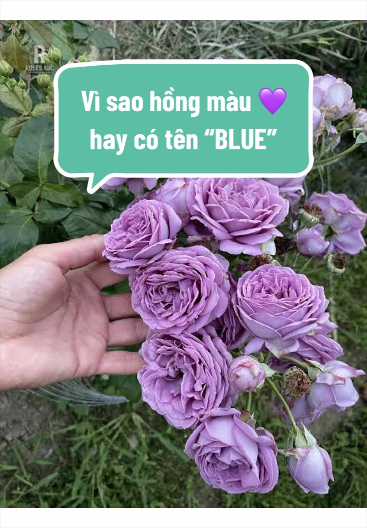 @Gia vị cuộc sống