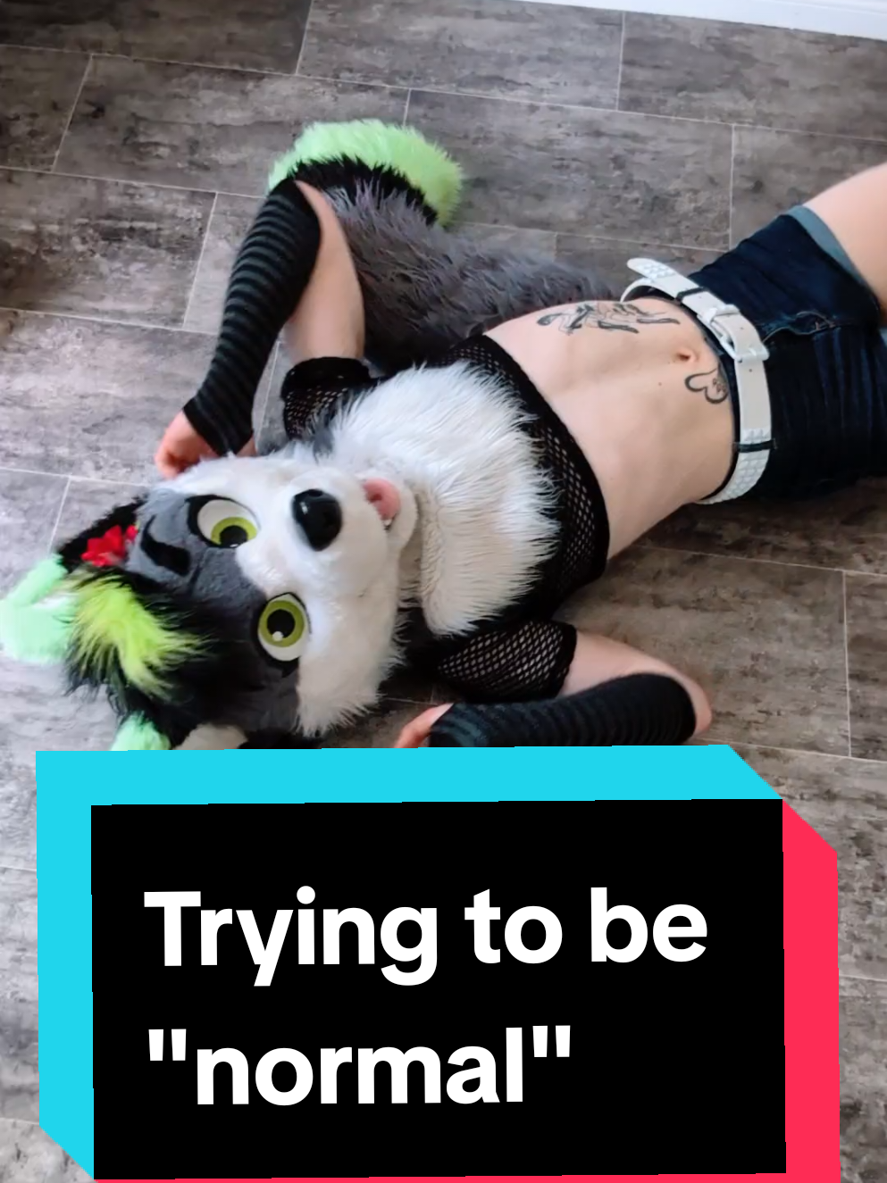 @Firefly Wolfy