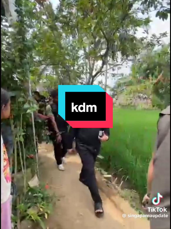 @ikca_mangurai
