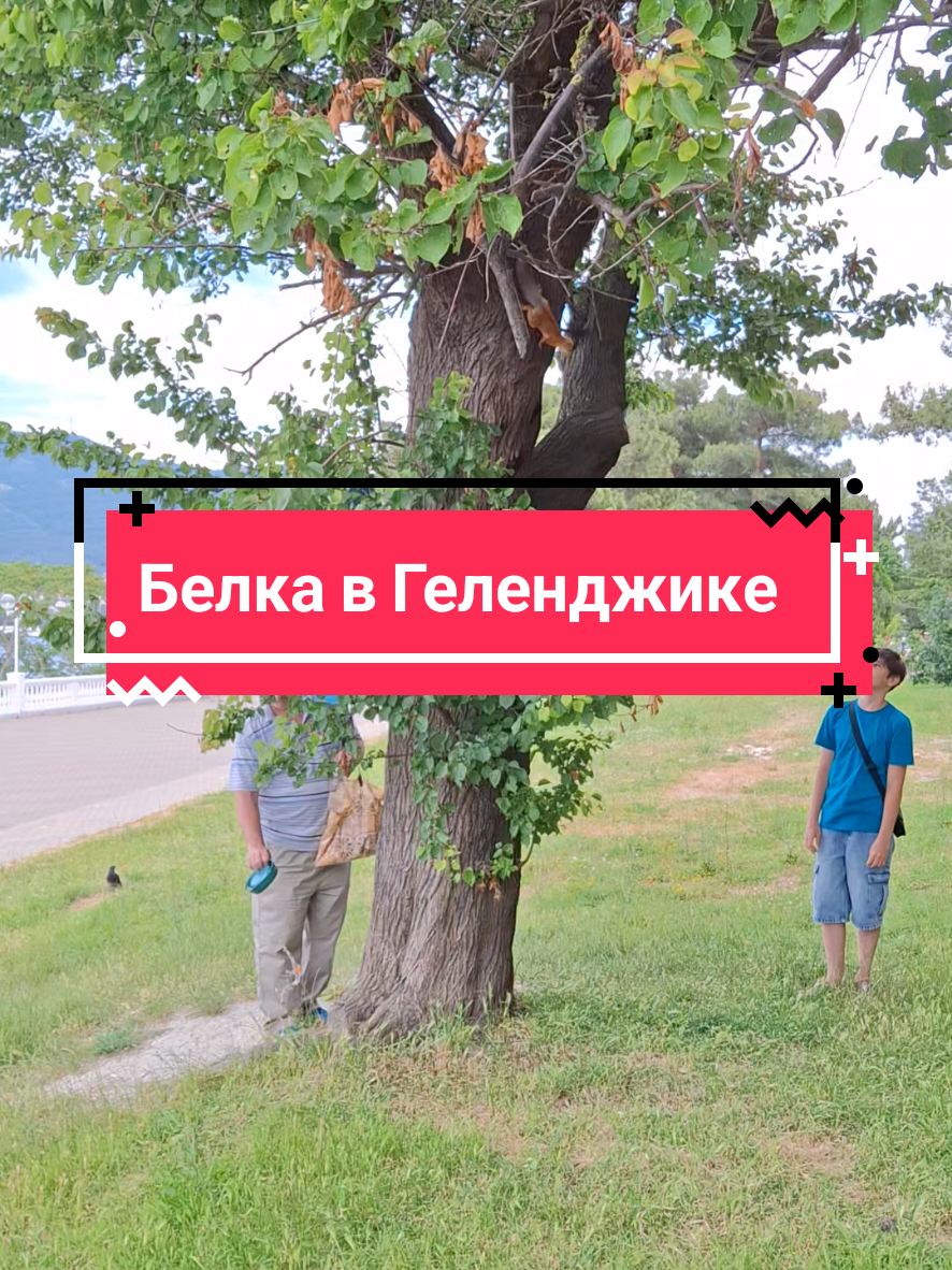 @Елена