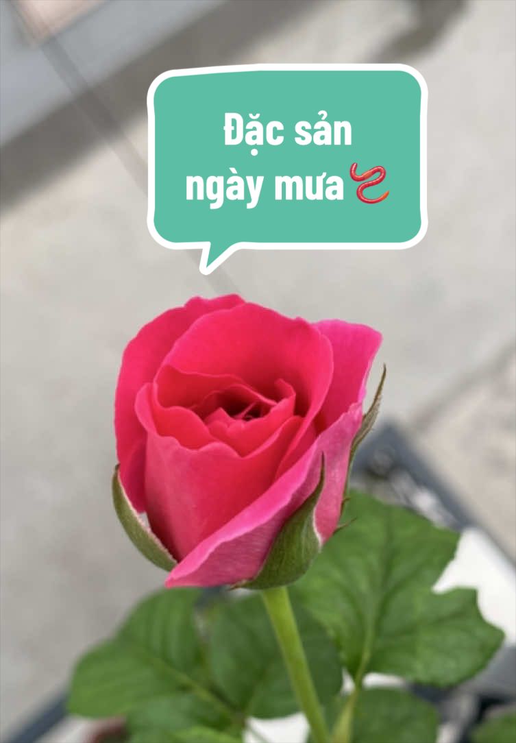 @Gia vị cuộc sống