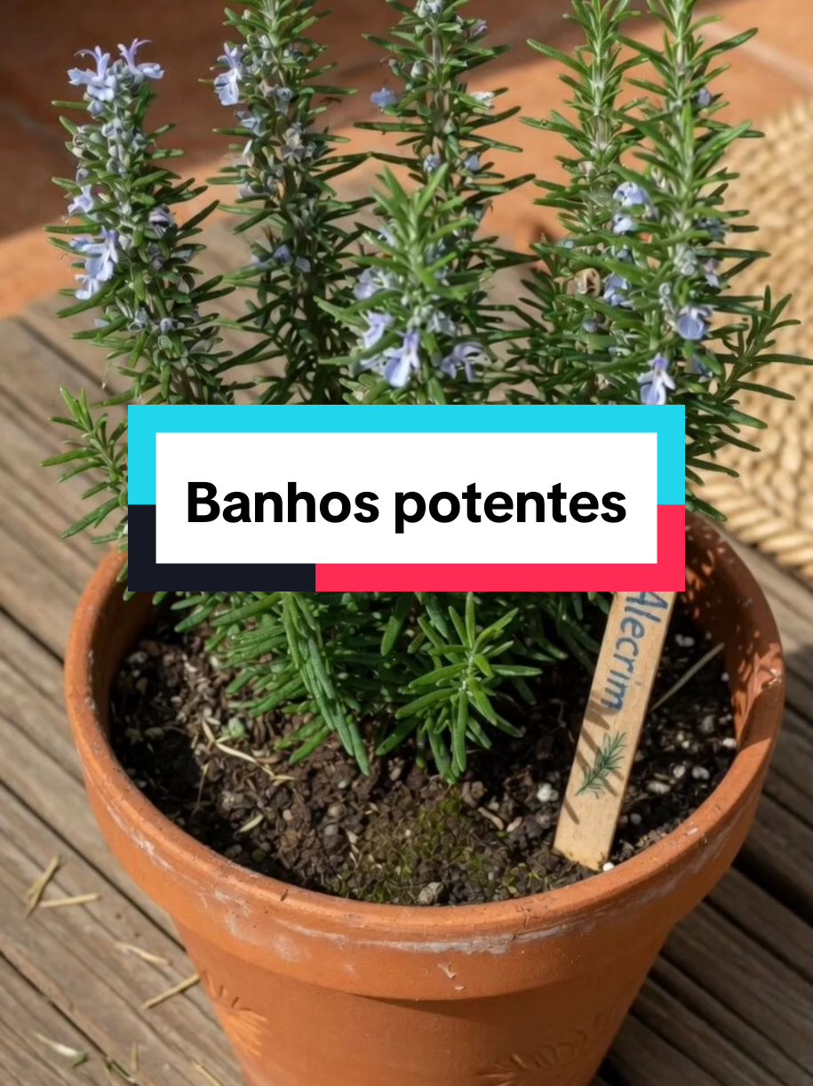 @natureza e sa&uacute;de