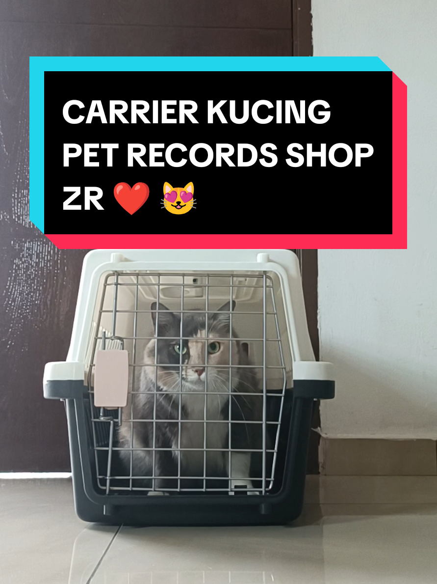 @ZR ๐ฒ๐พ