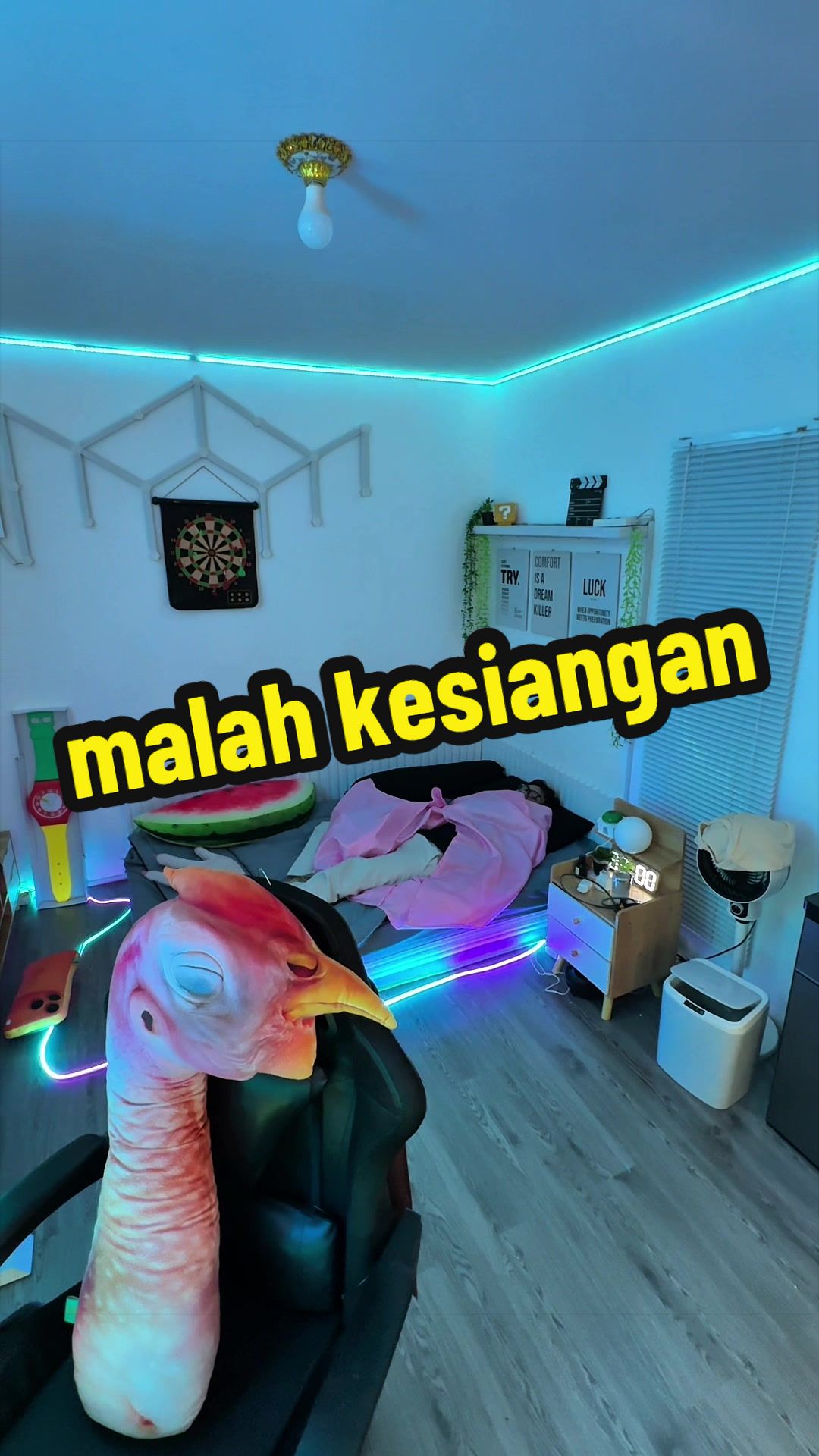 @Kamar Aesthetic