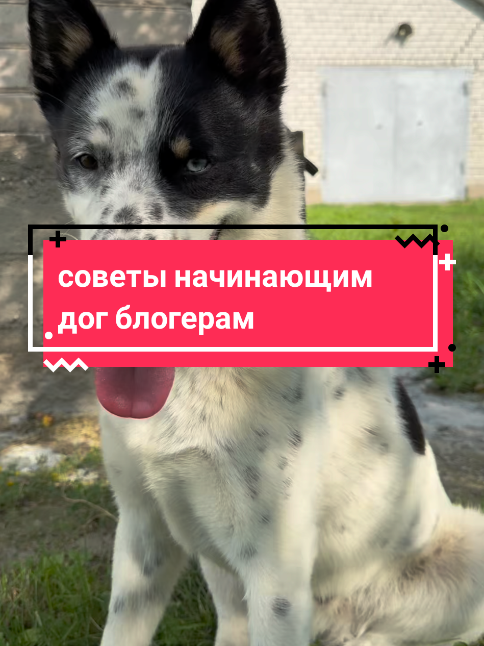 @Калыван