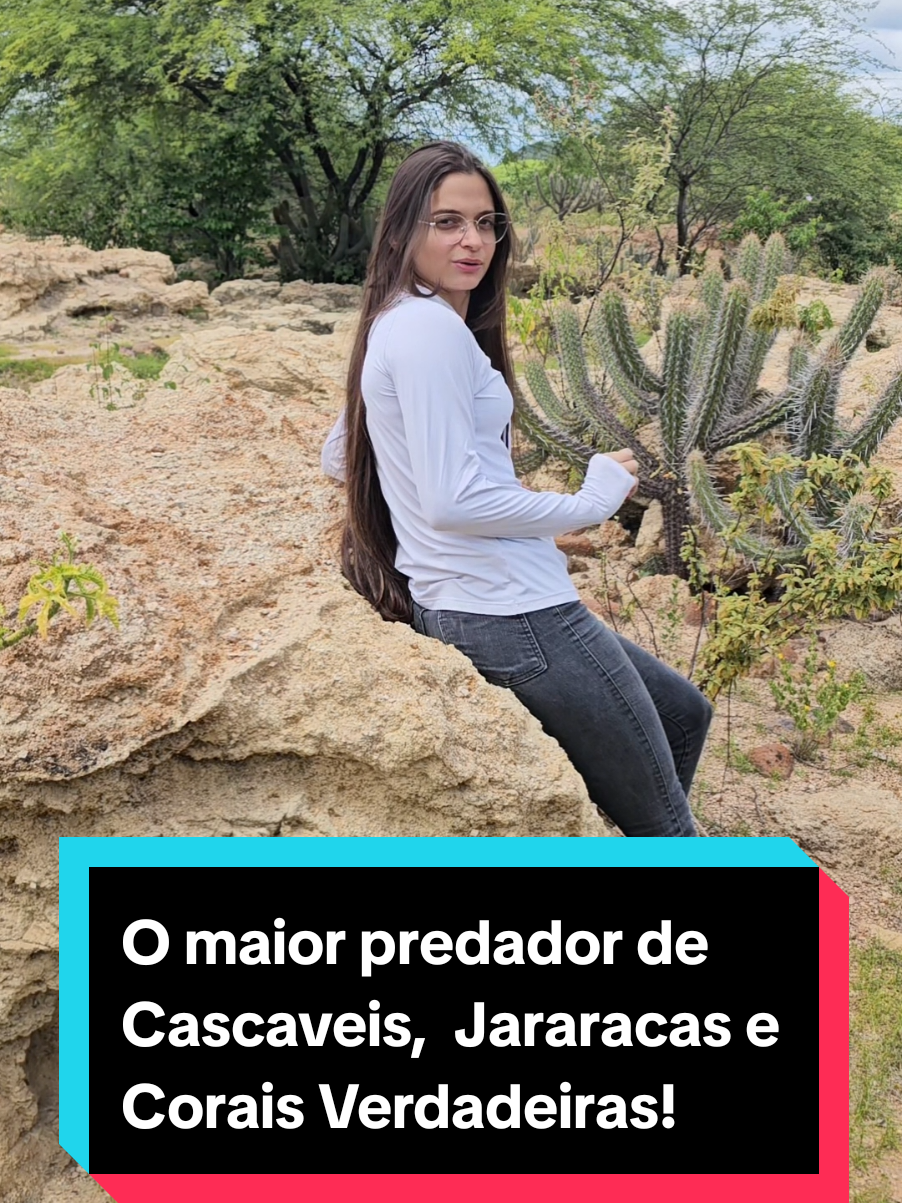 @Princesa das Serpentes