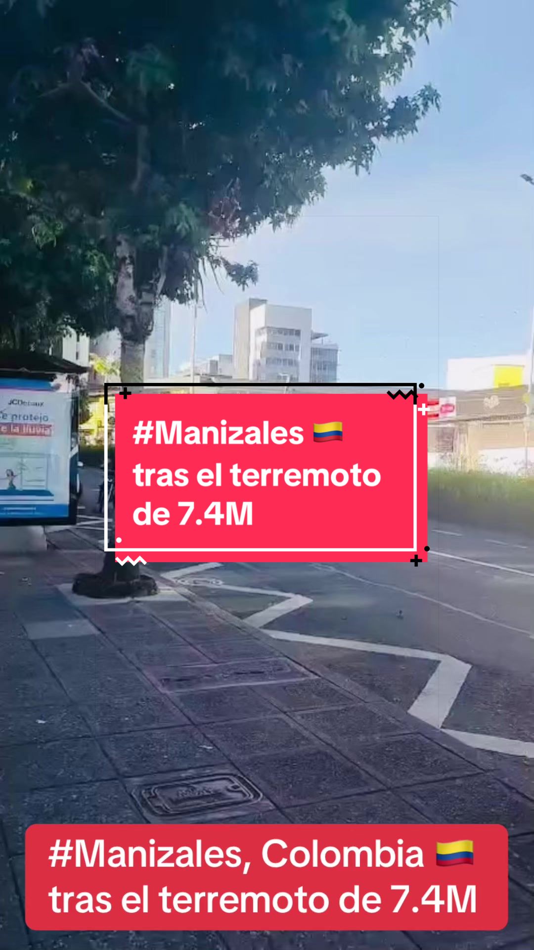 @intirubens