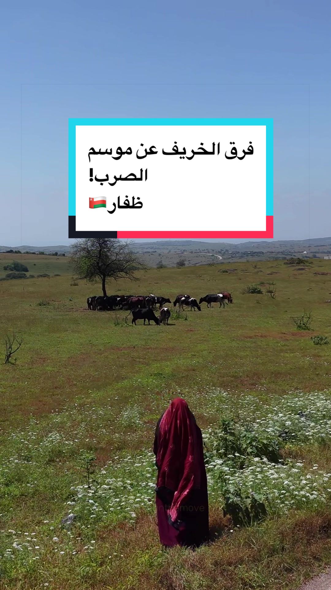 @Wafaa