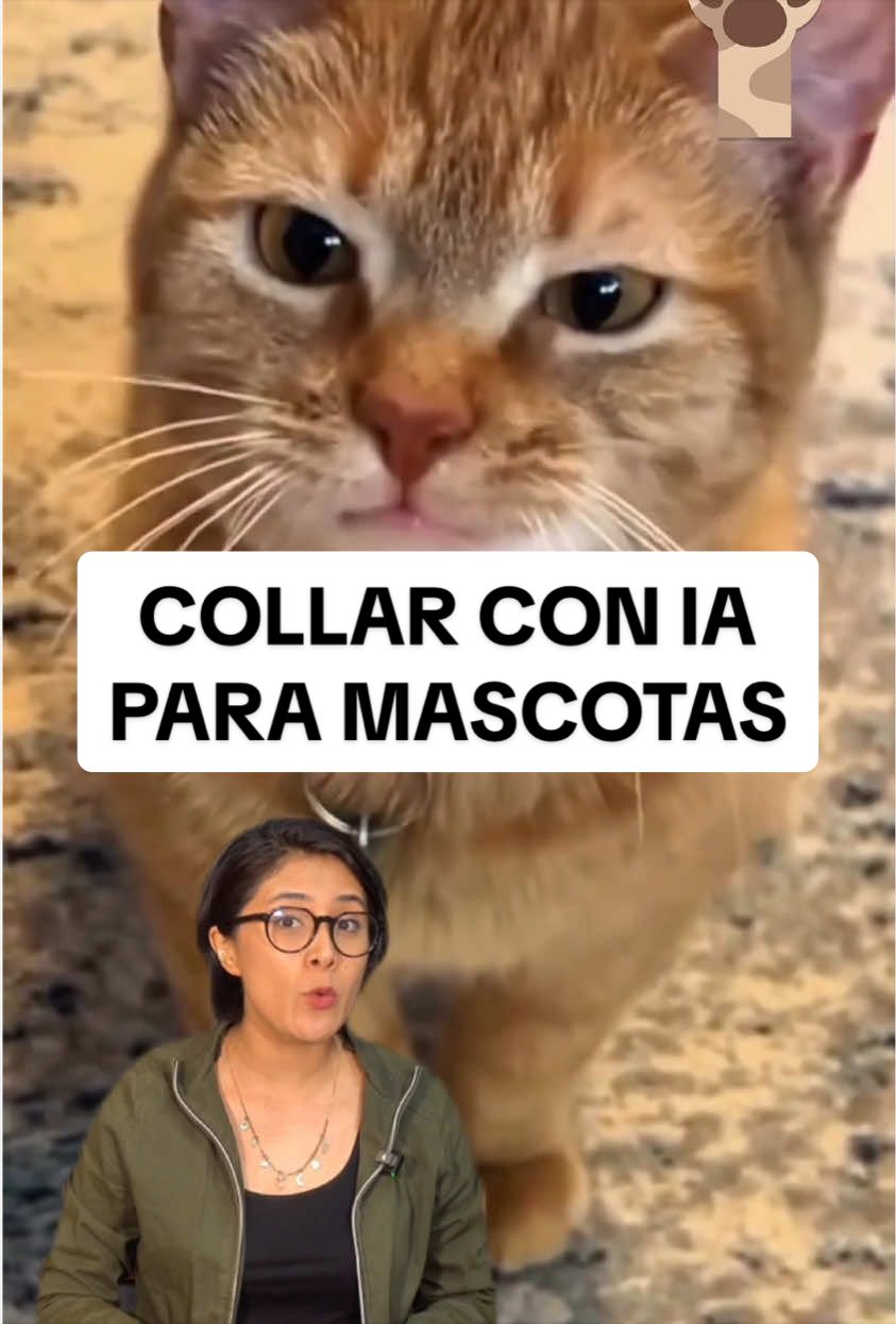 @Petlife