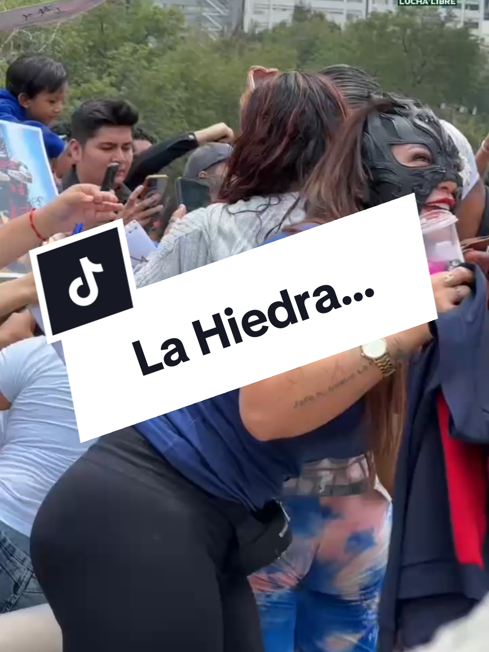 @Damas&Gladiadores Lucha Libre