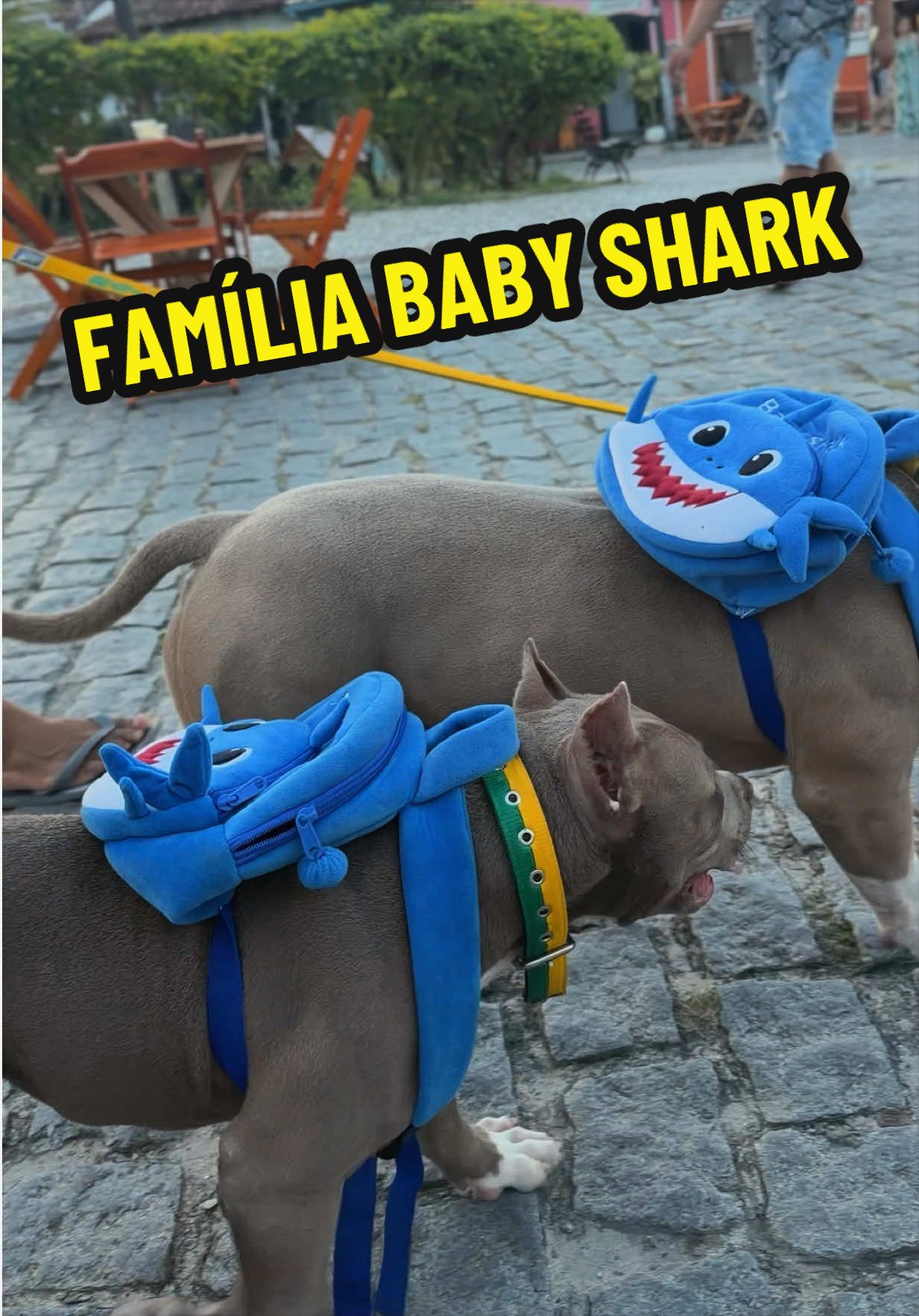 @Família Ragnar 🐶
