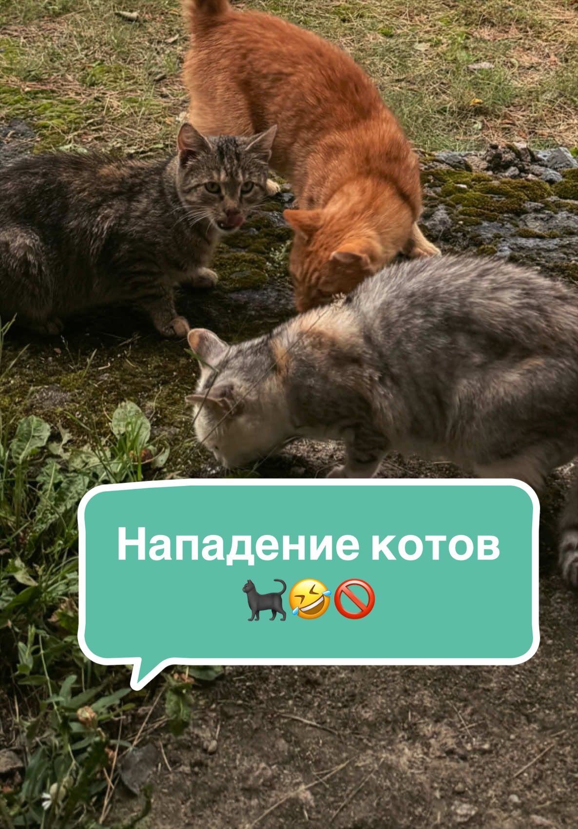 @𝓚𝓪𝓽𝓻𝓲𝓷𝓷🌴