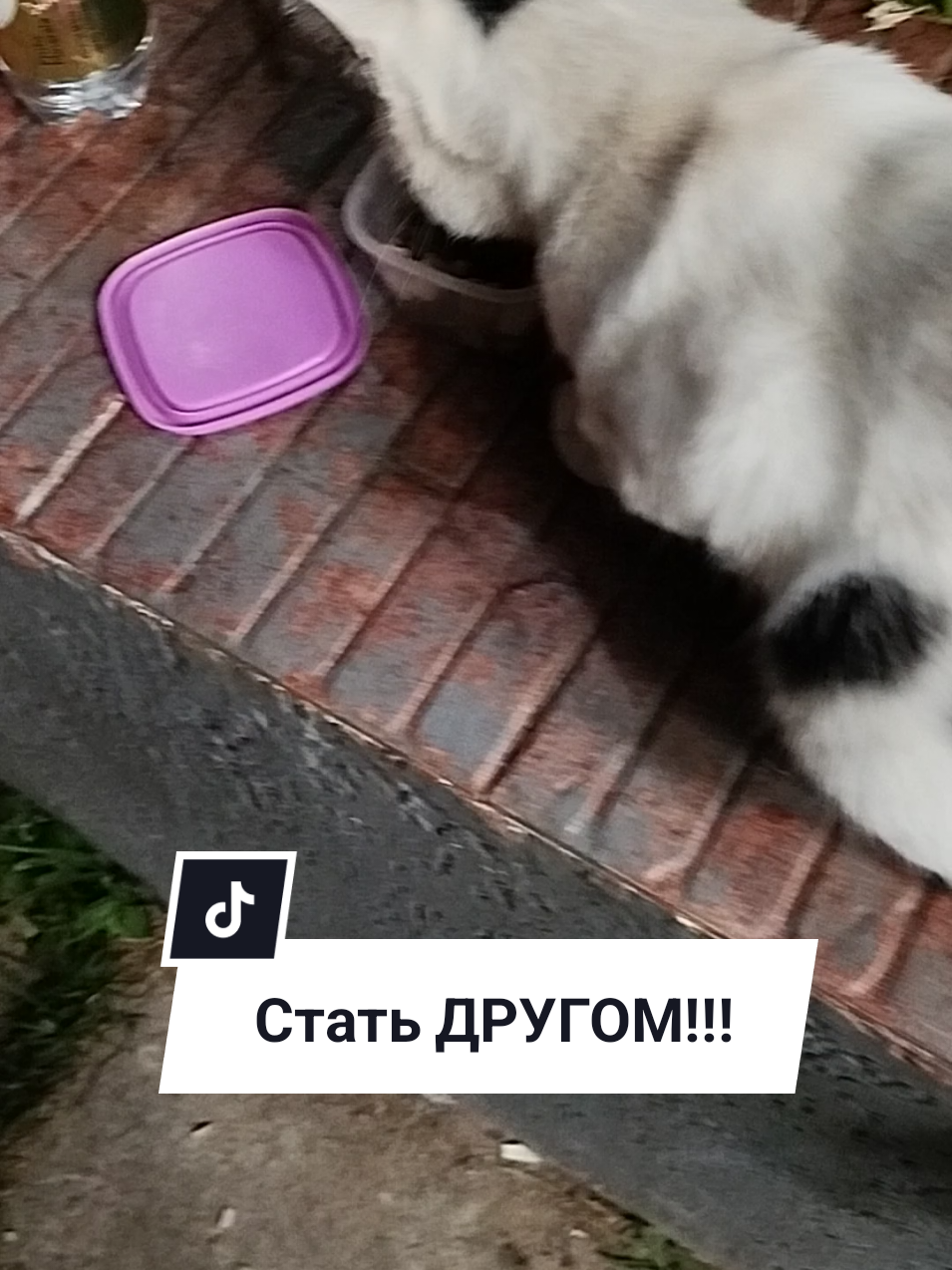 @IRINA