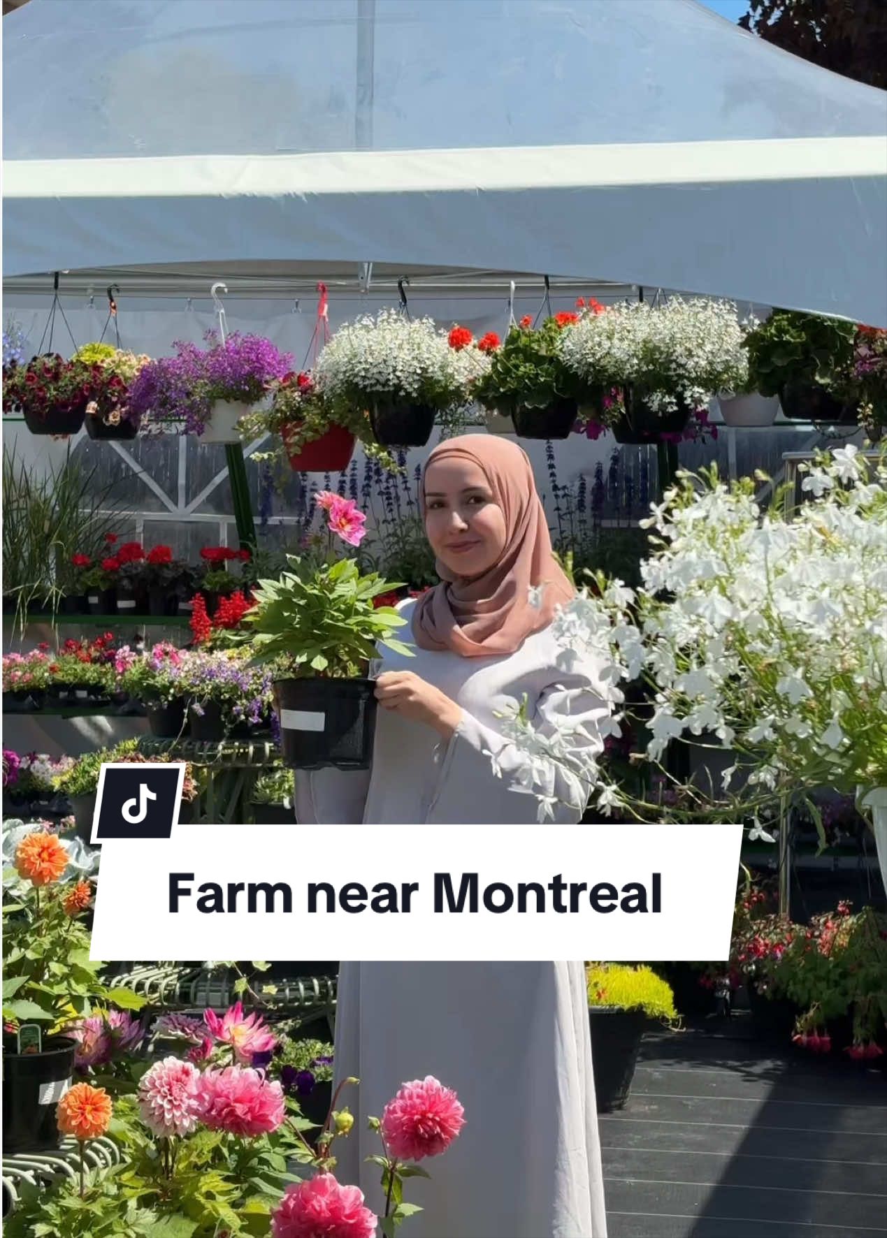 @Sara | Montreal