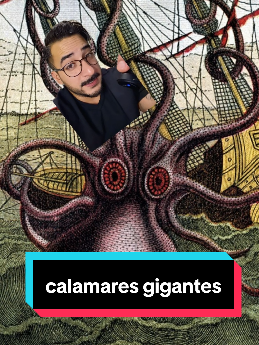 @nolosejose